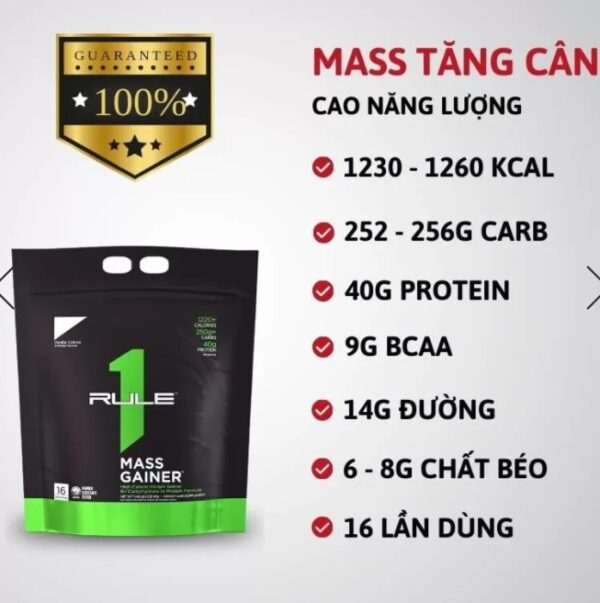 RULE 1 MASS TĂNG CÂN
