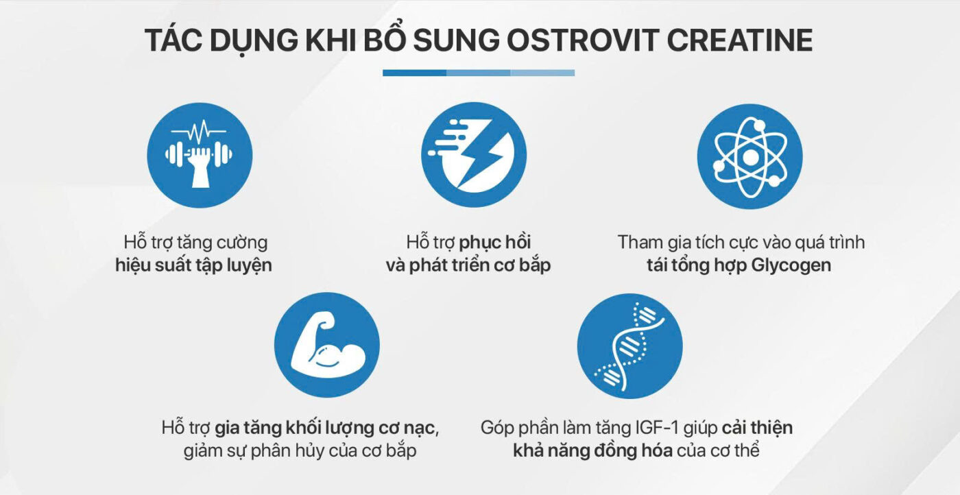 OSTROVIT CREATINE